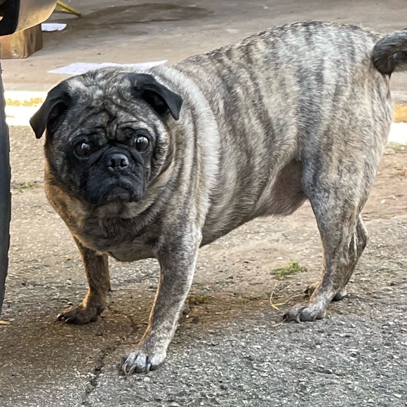 Meet your Posher, Mj - Picture 1 of 1